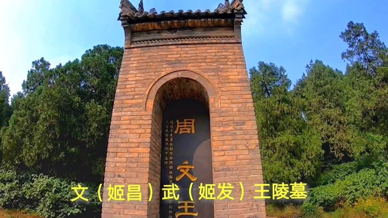 360影视 影视搜索