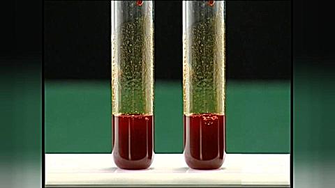 硫与铁反应图片