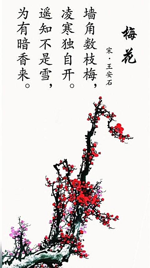 宁馨儿方言古诗朗读:梅花(潮汕话)