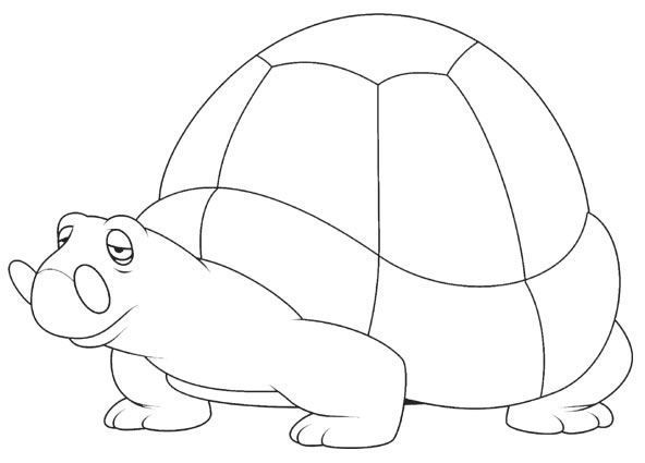 阳彩臂金龟简笔画图片