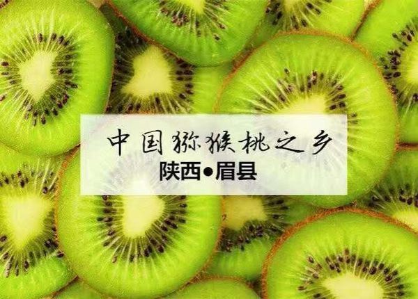 吃猕猴桃 吃什么品种最好,徐香 海沃德 翠香 红