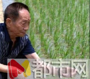 袁隆平是多少人