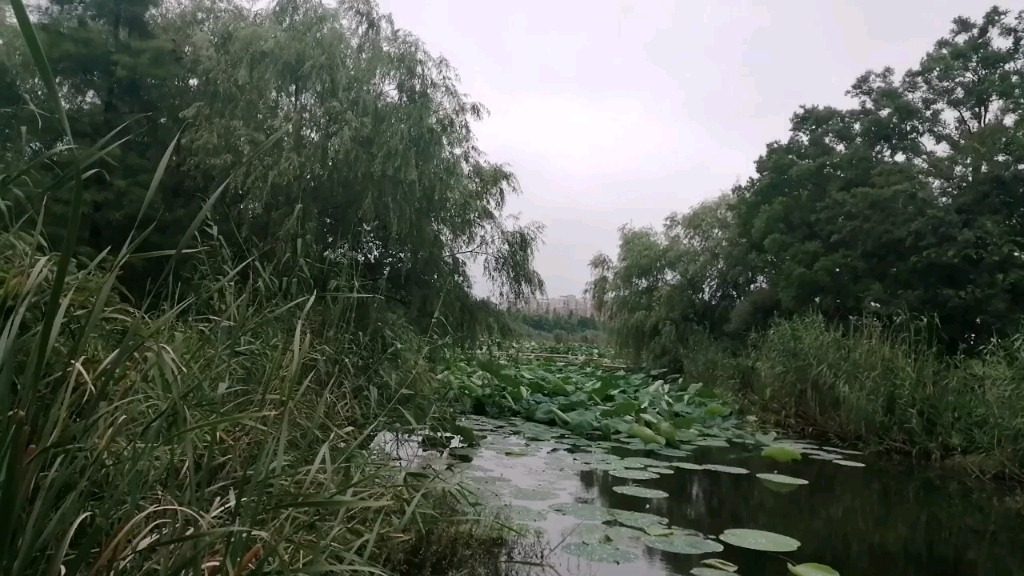 [图]江城芜湖