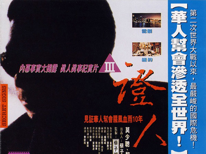 证人:1993年上映的香港电影,由 b>曹建南 /b>导演