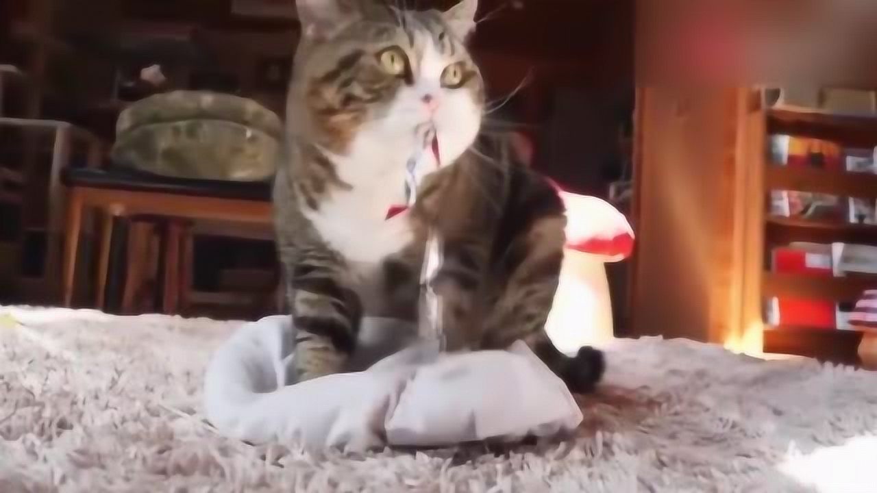 360影视 影视搜索 360影视 影视搜索