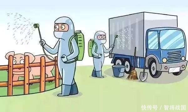 非洲非洲猪瘟疫情现状