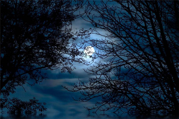 "红袖添香夜读书",这种意境在什么情况下才会发生?