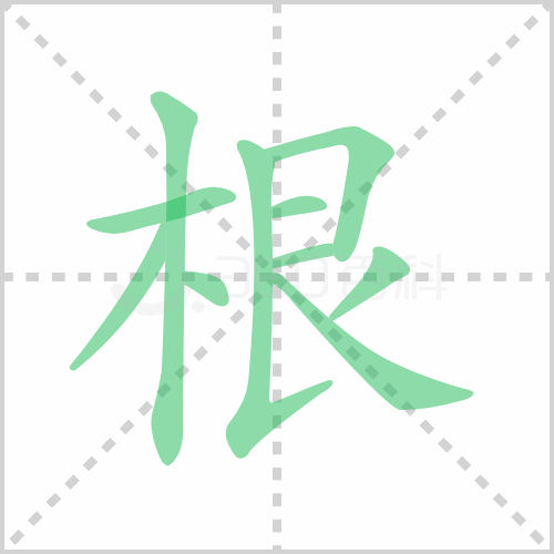 根的解释|读音|部首|组词