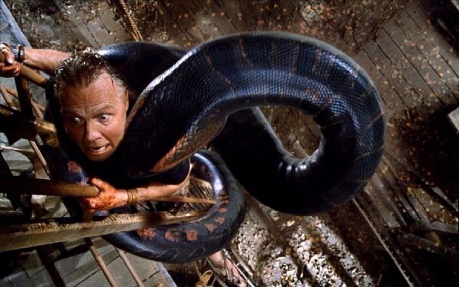 超级巨蛇纪录片图片