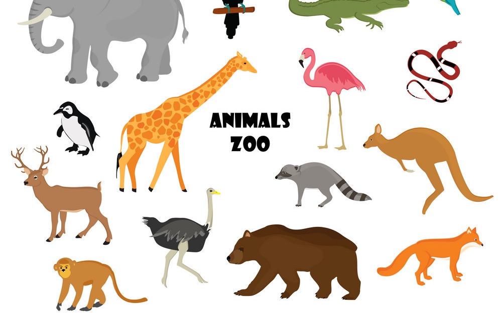 [图]Animals at the Zoo [Individual Conversations]