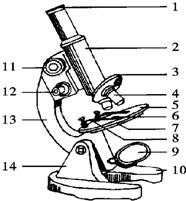 仔细观察如图显微镜的结构示意图,分析并回答