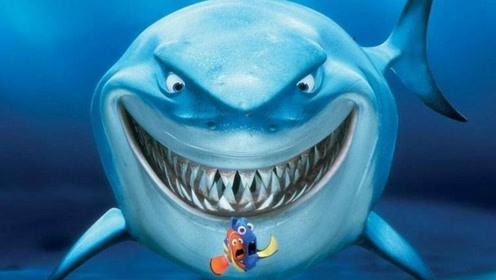 当巨齿鲨遇上 蓝鲸会怎么样?打不过就跑吧!