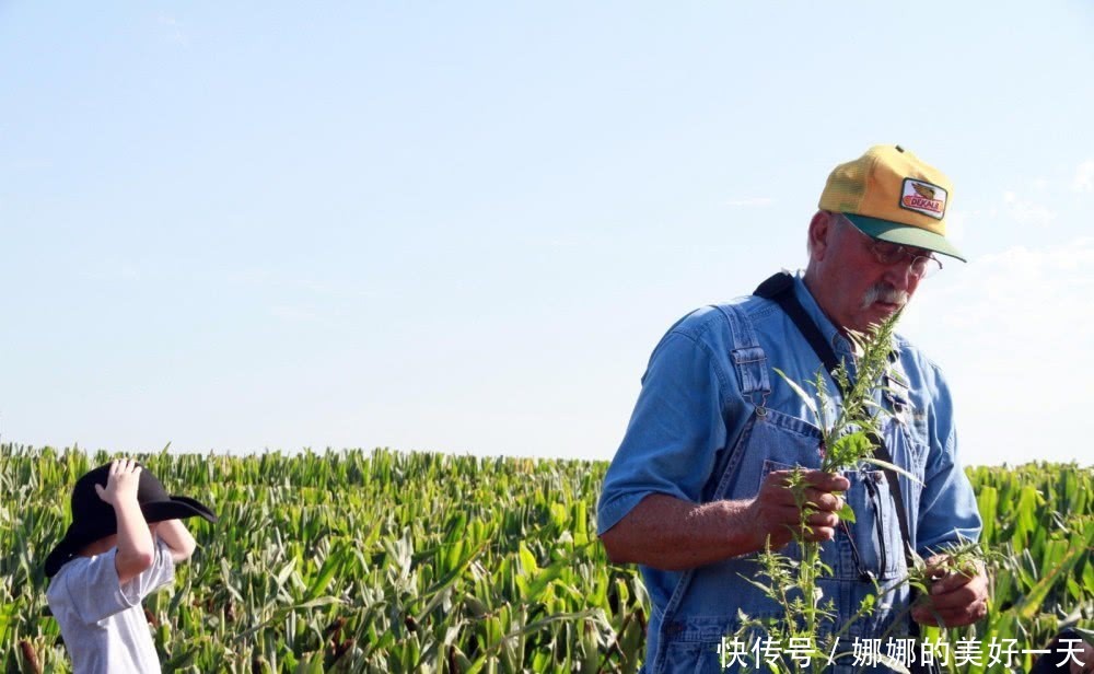 谁去签中美第一阶段协议