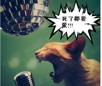 适合做闹钟的音乐