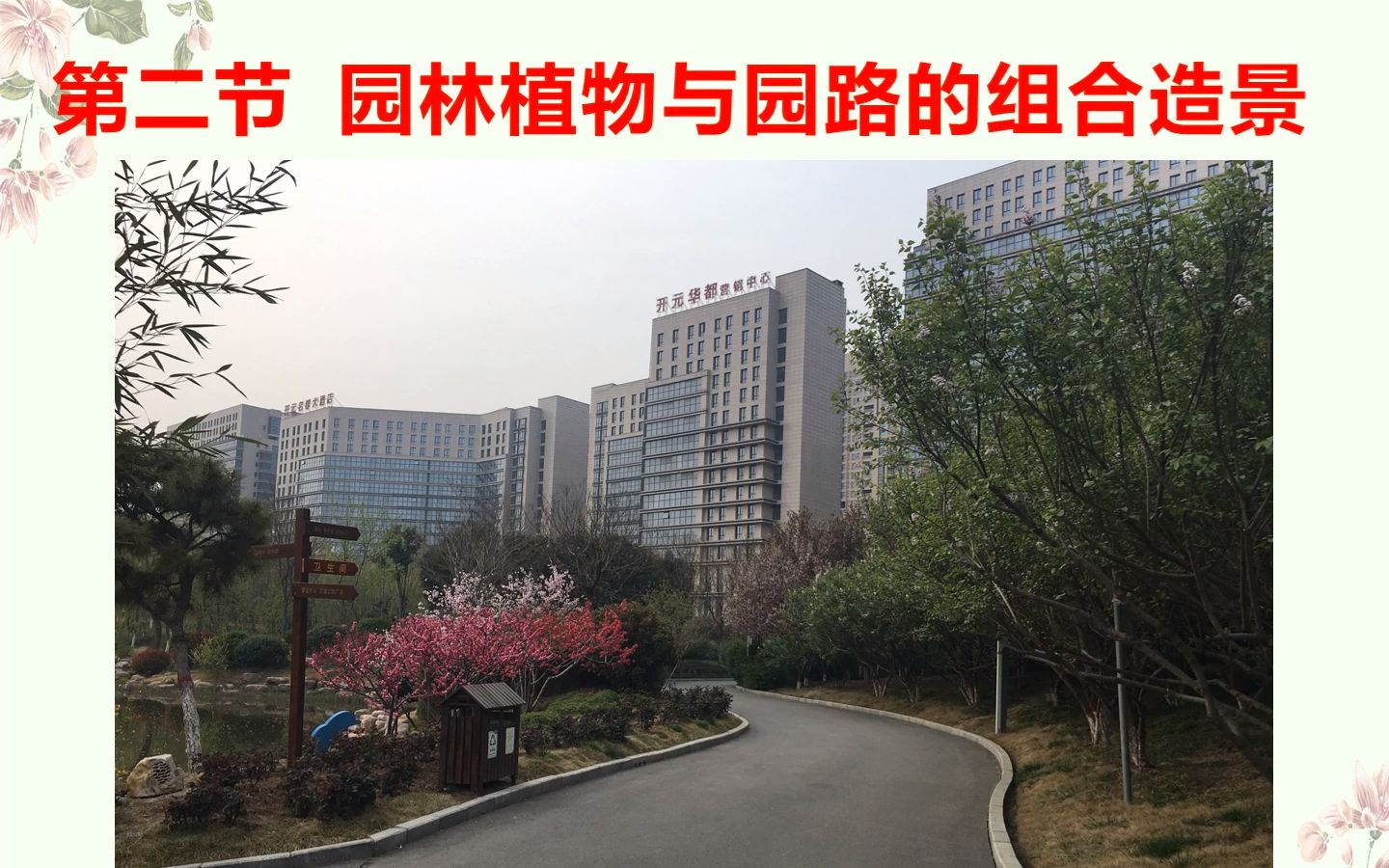 [图]园林植物造景 第五章 小环境园林植物组景与实践 第二节 园林植物与园路的组合造景