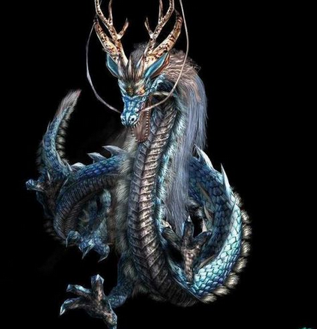 你们相信有中国龙的存在吗?是灭绝了还是真的没有这种生物?