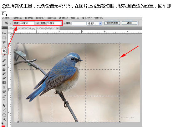 怎樣用ps把照片尺寸縮小成35*45mm