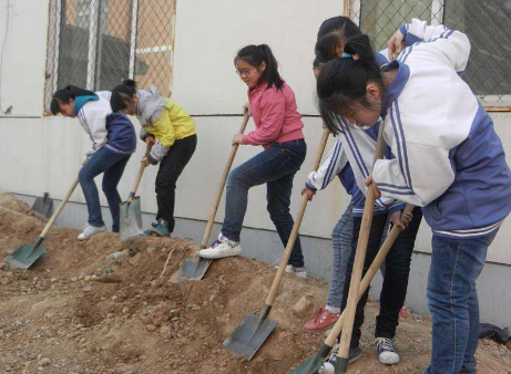 社会实践活动有哪些形式?