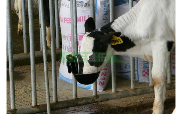 求牛舍自动饮水器安装图片