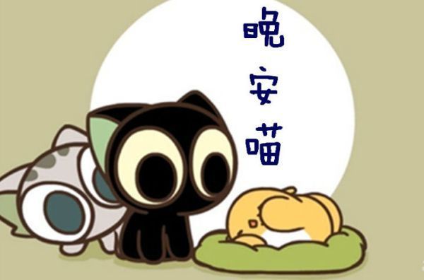 午安晚安是什么歌 歌词里有一句 要早安 要午安 要晚安 应该是刚发布不久 请问是什么歌 上海轩冶木业有限公司