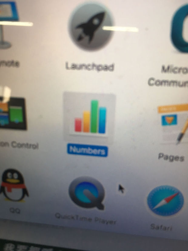 苹果电脑更新了10.12.1系统,原先WPS的软件都