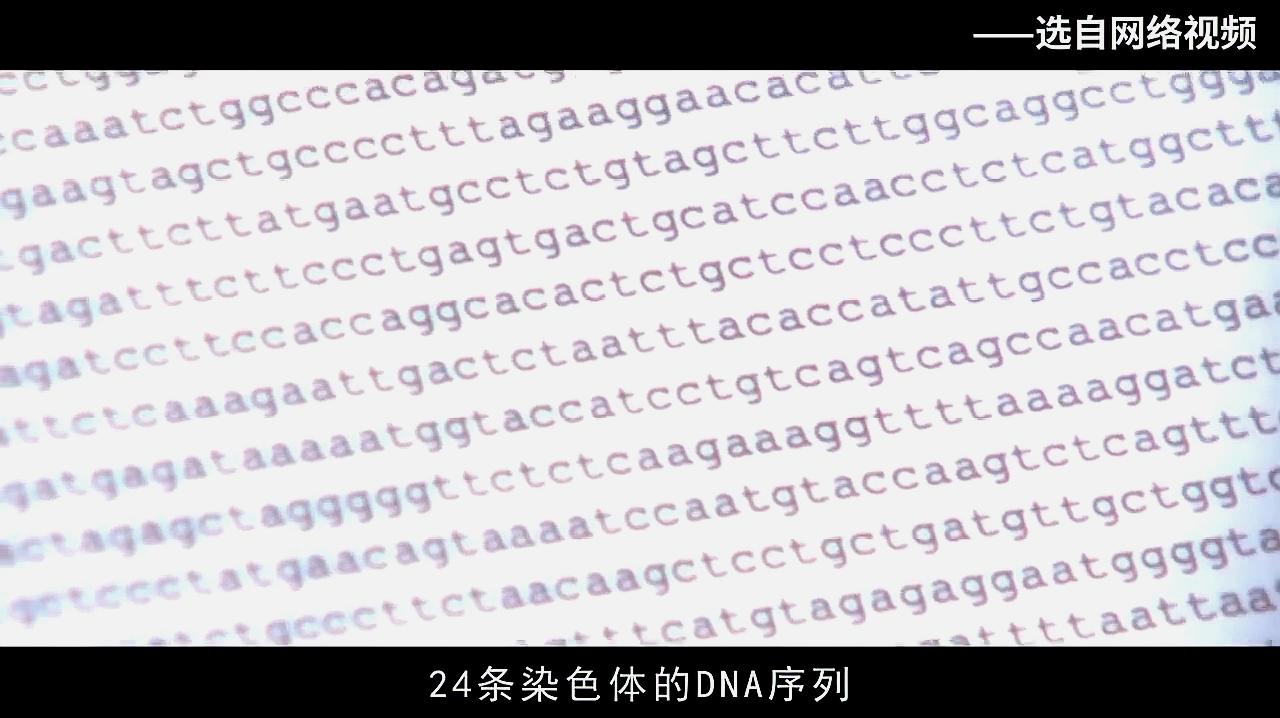 [图]「生物大师 高中重点」基因在染色体上——人类基因组计划