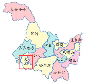 最新大庆市区地图图片