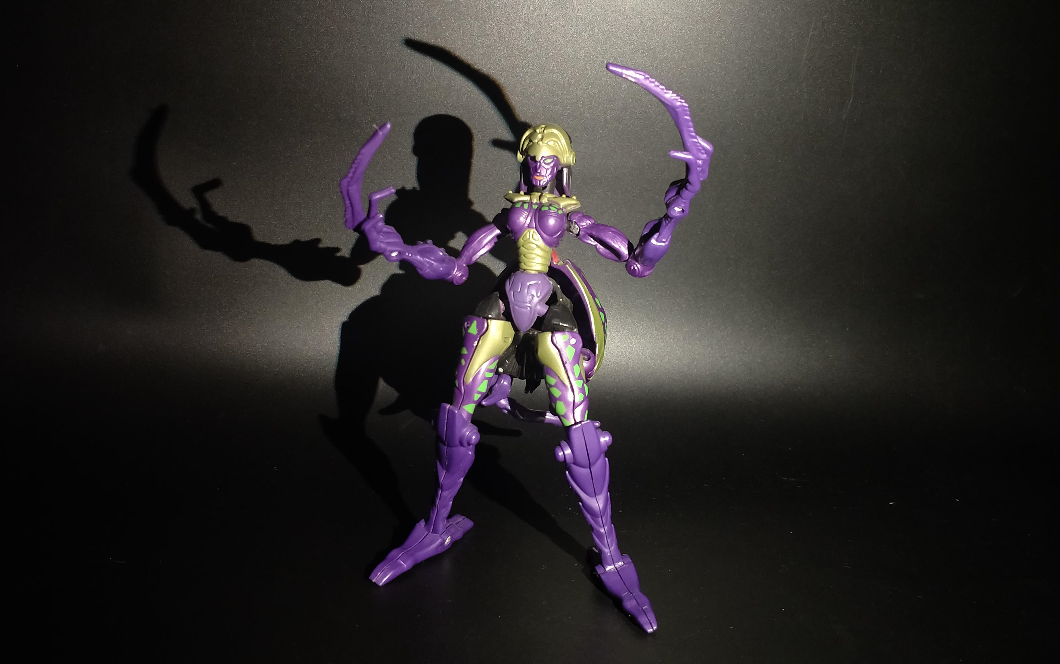 变形金刚 猛兽侠 毒蜘蛛 黑寡妇