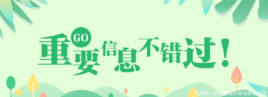 药师考试报名系统