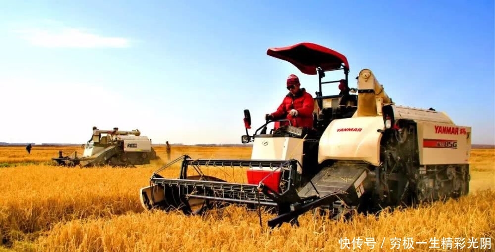 黑土地牌金奖大米