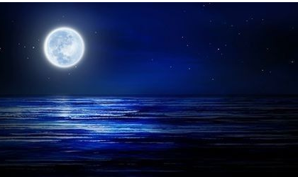 跪求明月为什么皎皎!