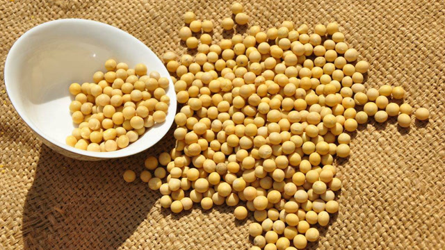 你与心 血管疾病的 预防只有"一粒豆"的距离