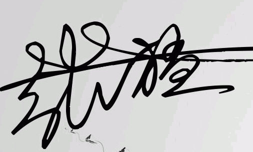 练签名张猛汉字怎么写