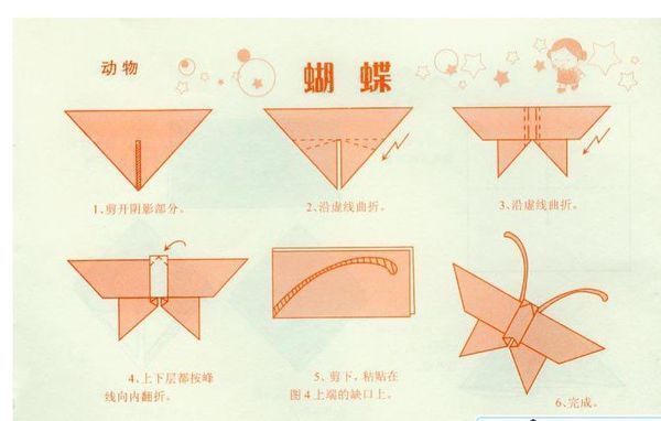 荷氏蝴蝶的折法步骤图图片