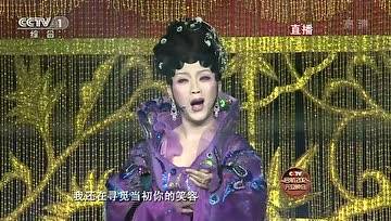 [图]李玉刚 & 石头 - 雨花石 2012央视元旦晚会 现场版