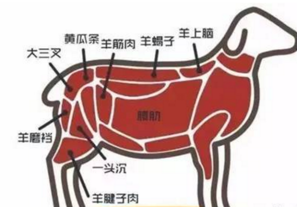 包羊肉饺子用哪的肉好,涮羊肉怎么让羊肉嫩