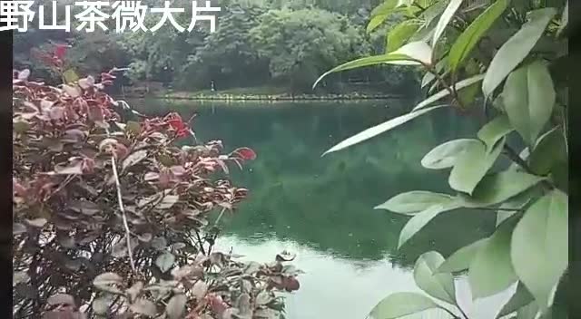 360影视 影视搜索 360影视 影视搜索