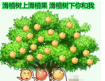 假猪套天下第一是什么梗 假猪套天下第一是什么意思