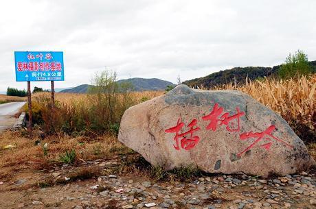 电视剧《插树岭》的地址在哪里?