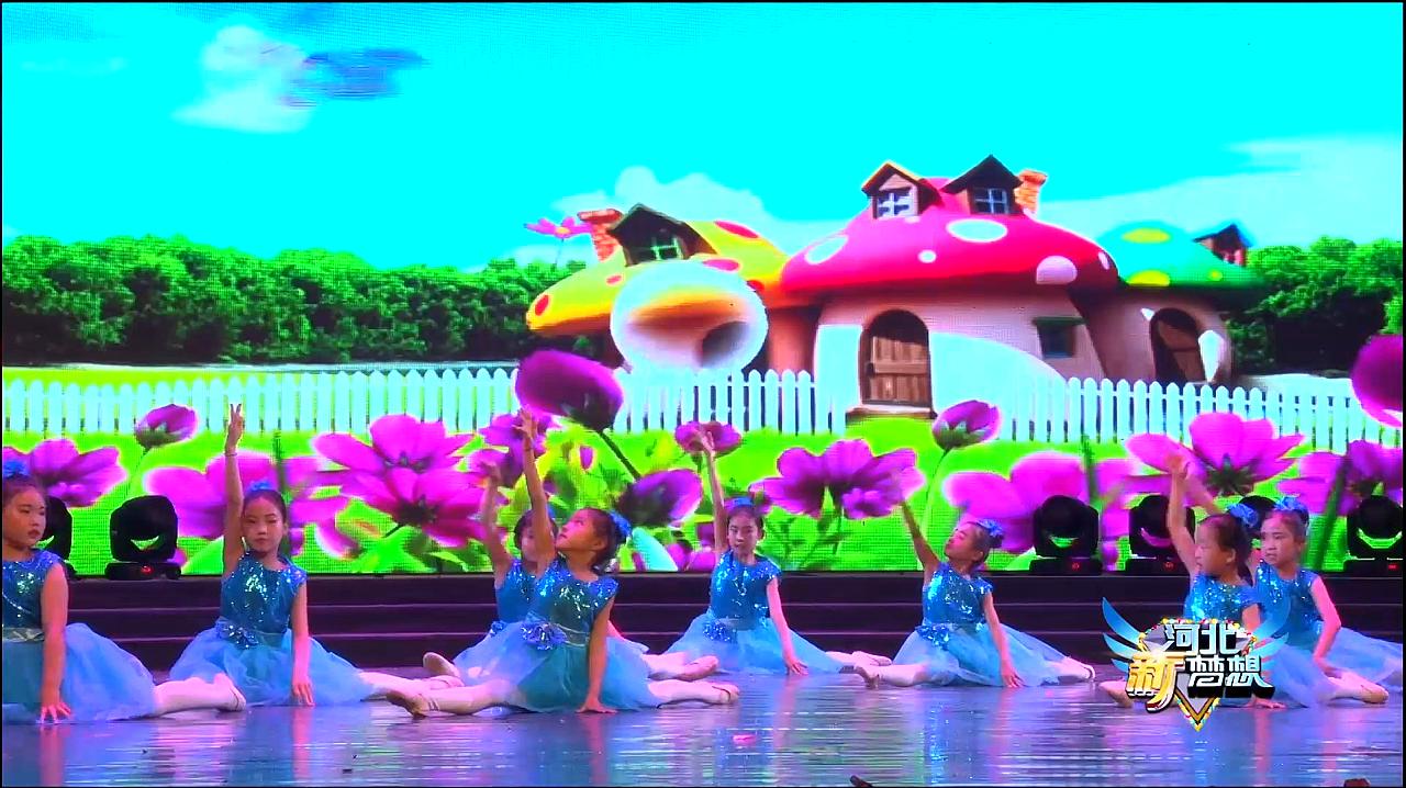  b>幼儿舞蹈 /b>《花儿 b>少年阳光 /b>》小朋友舞姿欢快,蹦蹦跳跳真