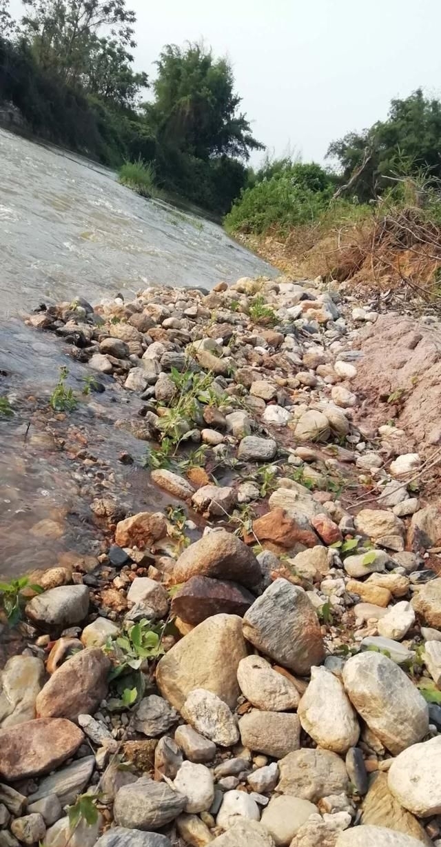 河边捡石头都是什么石头