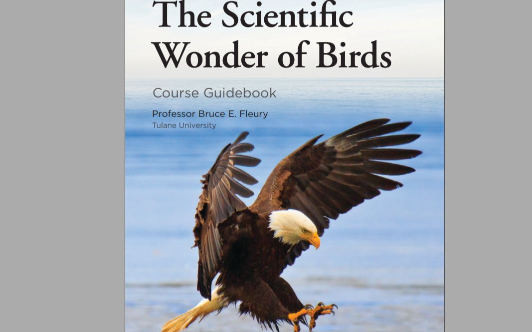 [图]TTC The Scientific Wonder of Birds