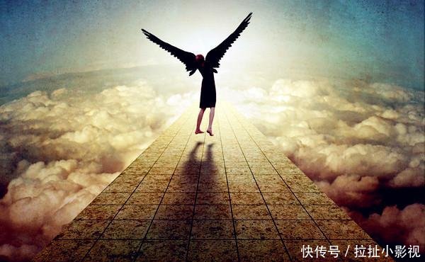 不是一种人句子