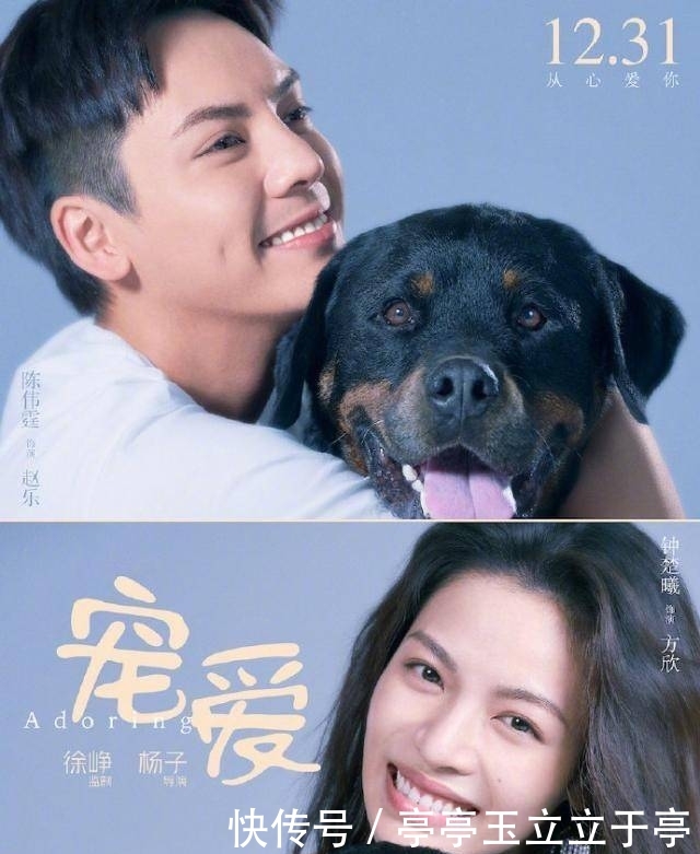 电影宠爱票房