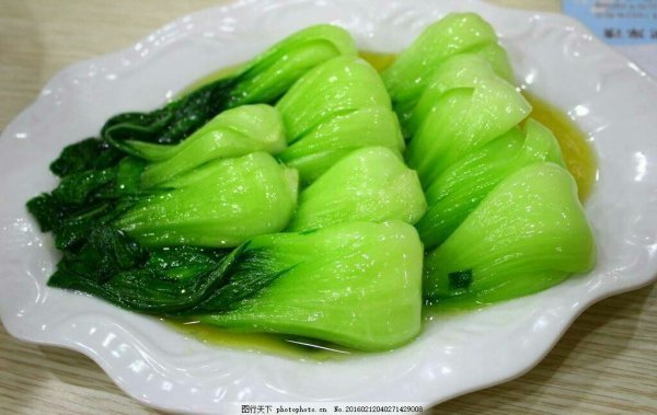 勺子菜和油菜有什么分别