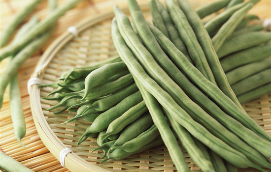 立秋后可以种植什么蔬菜