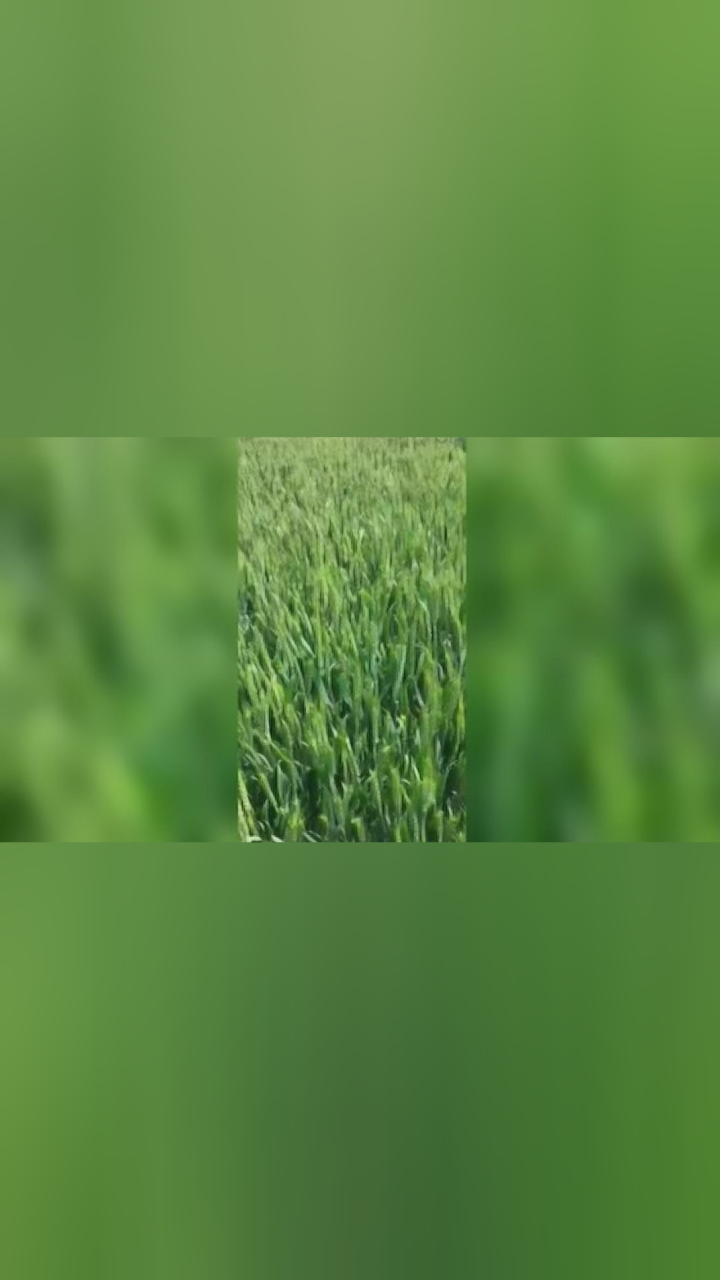 360影视 影视搜索