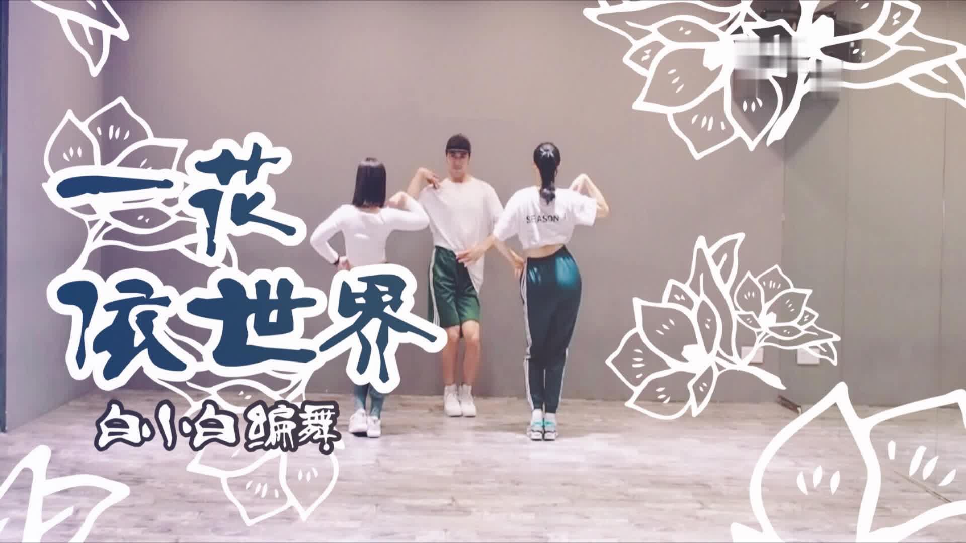 中国风宅舞《一花依世界》练习室版@ts白小白