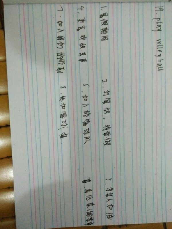 初二英语!求解,重赏! 暑假期间 打算做,将要做 为