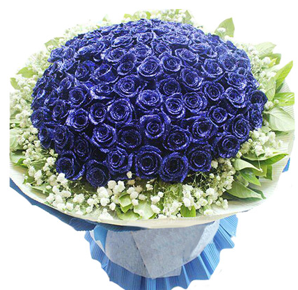 99朵蓝色妖姬的花语是什么?